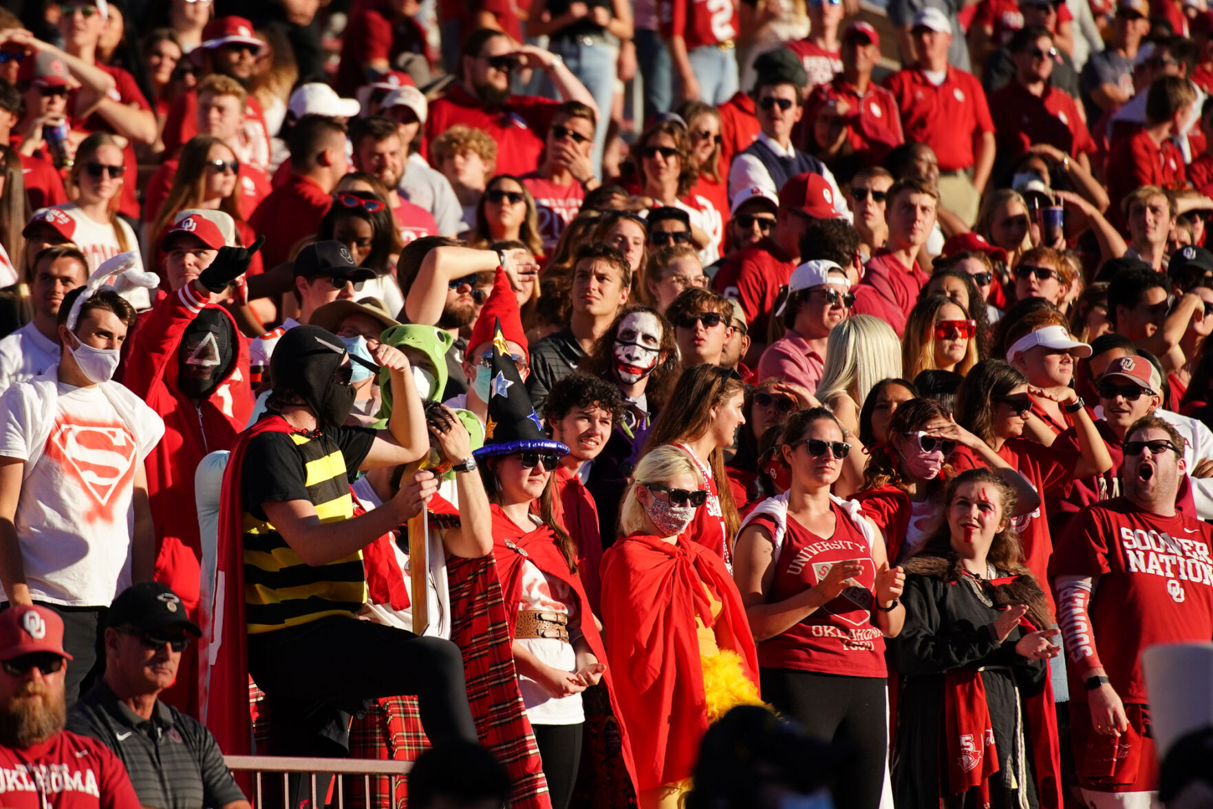 Student section